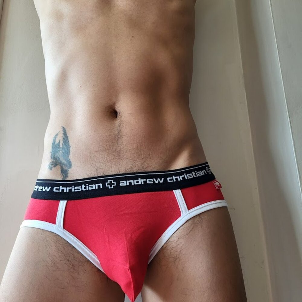 Andrew Christian Vintage Briefs Large Red NEW - Picture 2 of 7